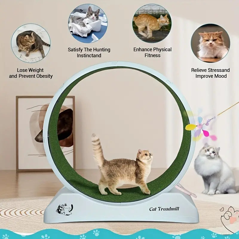 Pet Fitness Wheel for Cats and Dogs Indoor Exercise Treadmill Grey