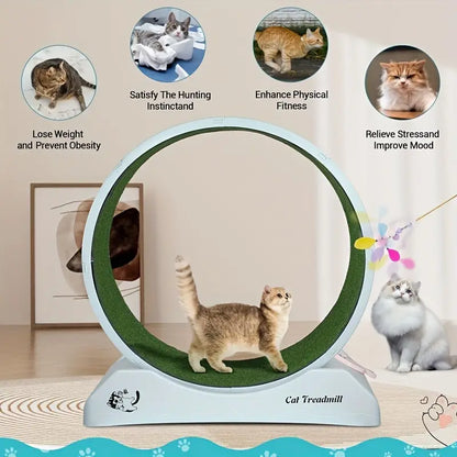 Pet Fitness Wheel for Cats and Dogs Indoor Exercise Treadmill Grey