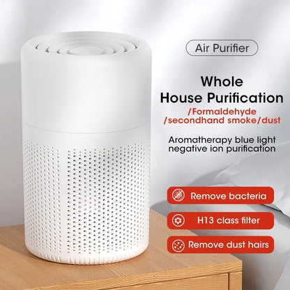 Air Purifier H13 HEPA 2-in-1 Cleaner for Home Air Quality-1