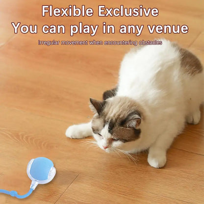 Rechargeable Smart Cat Toy Ball Interactive Automatic Pet Play Ball-1
