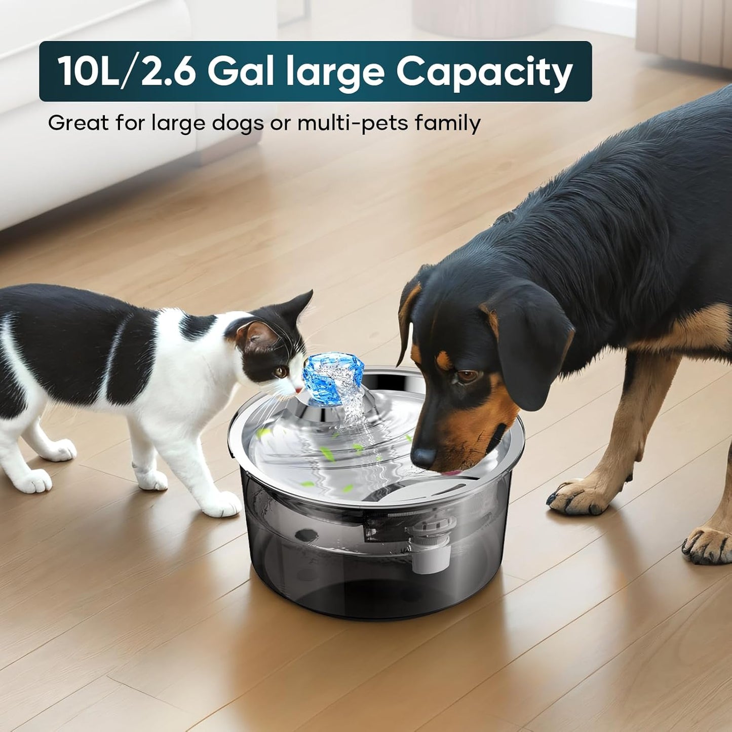 2.6Gal Dog Water Fountain for Multiple Pets Stainless Steel BPA-Free