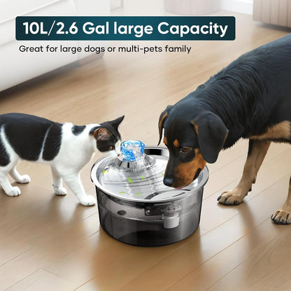 2.6Gal Dog Water Fountain for Multiple Pets Stainless Steel BPA-Free